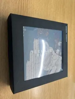 Flamingo/TEENAGE RIOT(ティーンエイジ盤)