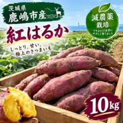 茨城県鹿嶋産 紅はるか10kg 訳あり - メルカリ