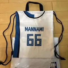 北海道日本ハムファイターズ 万波中正 サコッシュ 66