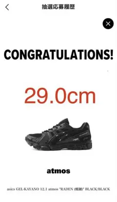 ひ*ろ様 【29cm】asics GEL-KAYANO 12.1 RADEN (