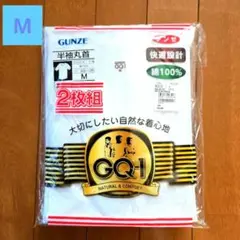 残り3日間❗お値引き◎❣️【新品】GUNZE GQ-1 半袖 丸首シャツ2枚 M