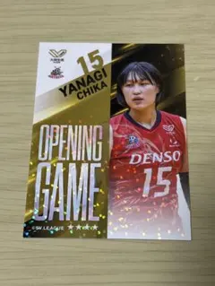 Vコレ リアルカード　デンソーエアリービーズ　 柳選手