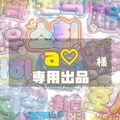 a♡様　専用出品