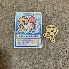 新江ノ島水族館　えのすい　くららっち　シール