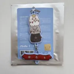 SEVENTEEN HOLIDAY with MINITEEN ジュン