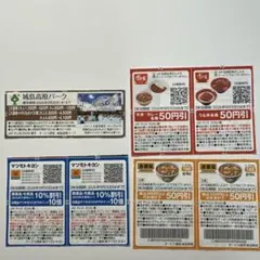 残11時間】ぐんま パウダー5 リフト券 丸沼 川場 時間券 チケット群馬