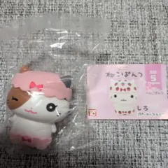ねこぱんつ みけ