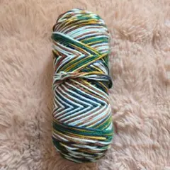 ム*ー様 【新品未使用】マルチカラー　毛糸　100g　緑系　マルチカラー