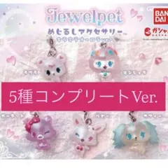 ジュエルペット めじるしアクセサリー オーロラ コンプリート