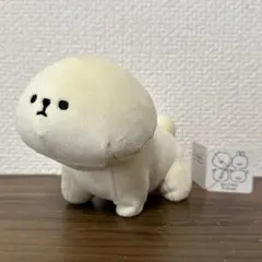 モフモフレンズ　ビションフリーゼ　テノリマスコット　ぬいぐるみ