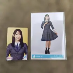 Item thumbnail for item 1839c572-ffcd-46e5-9aad-108584380fab