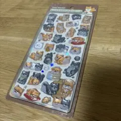 正規品　ボンボンドロップシール　和柄　柴犬　新作