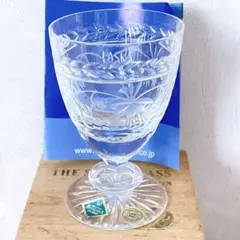 【新品/箱汚れ有】ボヘミアグラス　ボヘミアガラス　ワイングラス　チェコ　SAKE