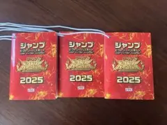 ジャンプビクトリーパスポート 2025 3冊セット