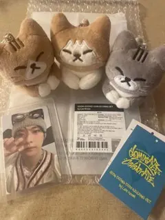 Stray Kids スキズ ソウルコン メンプロ リノ スンドゥンドリ