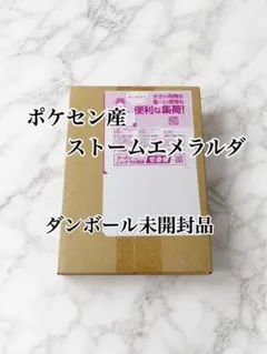 ダンボール未開封] ストームエメラルダ ポケモンセンターオンライン産