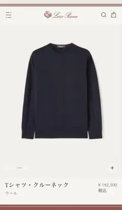 Loro Piana Tシャツ クルーネック ウールネイビー48 FAI1916