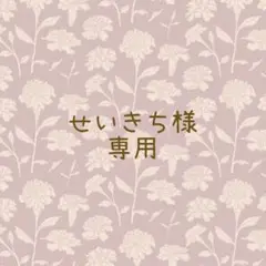 せいきち様