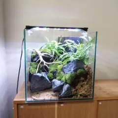 爬虫類ケージ　60×40×40 メッシュ　アクリル扉　カメレオン　ケージ　ペット 爬虫類ケージ 60×40×40 メッシュ アクリル扉 カメレオン ケージ ペット