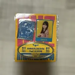 Item thumbnail for item 316acc6d-abff-4f30-84b5-e2dad5e89414