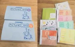 【ペッピーキッズ】『通常リフィル(1枚4円タイプ)』全収納★フルセット ペッピーキッズクラブのピクチャーカード収納を100均で簡単に