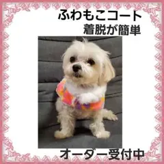 Item thumbnail for item b4688041-2832-4d3a-a0ed-c4bee3a68d05