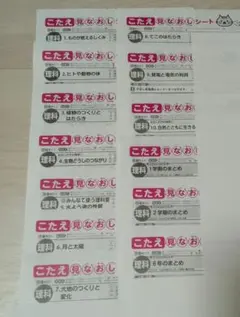 小6 理科 カラーテスト 啓林館 明治図書 13枚 小学6年 - メルカリ