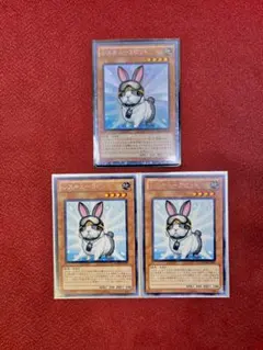遊戯王OCG レスキューラビット コレクターズレア含む3枚セット