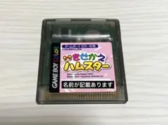 きせかえハムスター　ゲームボーイ カラー　カセット