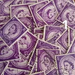 Item thumbnail for item 64dbf858-b991-4ea8-ae6f-950fb6f73f2b