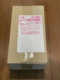 【新品未開封】ポケモンセンター ヒロシマ スペシャルBOX