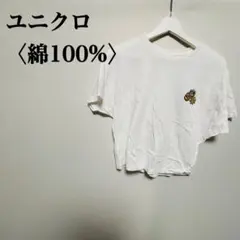 Item thumbnail for item 19de9edb-e4b0-4e78-886d-227c99c3e4f0