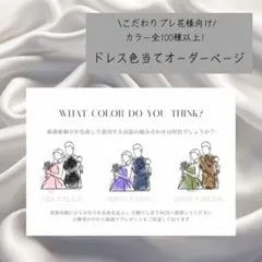 【D1】ドレス色当てクイズ　ドレス当てクイズ　ウェルカムスペース　ウェディング