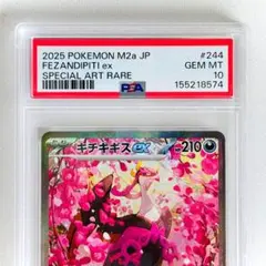 2026年最新】キチキギスex sar psa10の人気アイテム - メルカリ