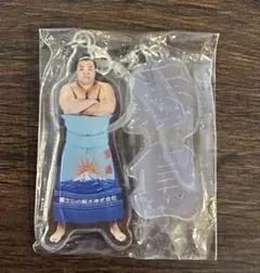 Item thumbnail for item 6cdeefa6-b8d6-4822-8db3-ce6519a44a32