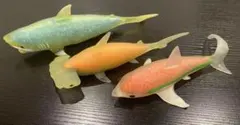 シャークアタック＆co アンドコ　ホホジロザメ　ハンマーヘッド　ハチワレのサムネイル