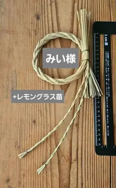 Item thumbnail for item 75094a0f-4272-4268-b631-3a6e4ae07ac6