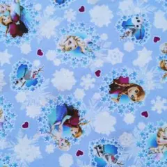 2026年最新】アナ雪ハギレの人気アイテム - メルカリ
