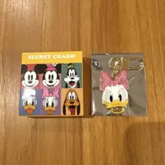 ディズニーストア シークレットチャーム　デイジー