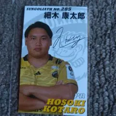 Item thumbnail for item 0485a57d-76d5-4f02-858d-1554a786baee