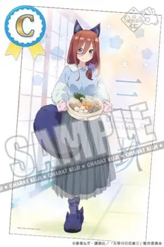 C賞 中野三玖 特大マルチクロス