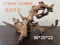 2026年最新】ブランチウッドの人気アイテム - メルカリ