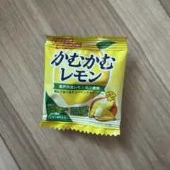 かむかむレモン 瀬戸内レモン果汁使用 4gのサムネイル
