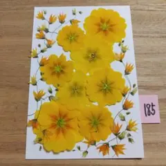 Item thumbnail for item 36742484-cb32-4eb1-9b03-70f1d38beb67