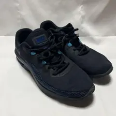 Nike Air Max スニーカー ブラック/ブルー