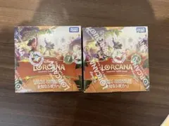 2026年最新】ロルカナ box 未開封の人気アイテム - メルカリ