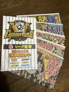 ★阪神タイガース★記念5紙セット記念版！関西限定版　阪神タイガース優勝
