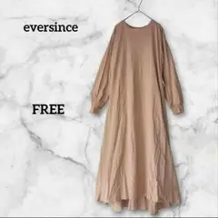 eversince バックプリーツ ロングワンピース 長袖 シアー F