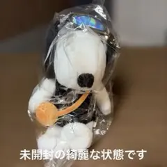 スヌーピーガーデン 韓国 済州島 限定 ぬいぐるみ みかん - メルカリ