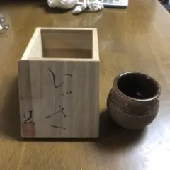 Item thumbnail for item a8118d5b-b285-474a-97b4-7726132debd6